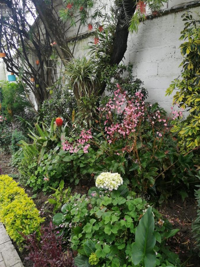 Casatodosantos Panzió Cuenca Kültér fotó